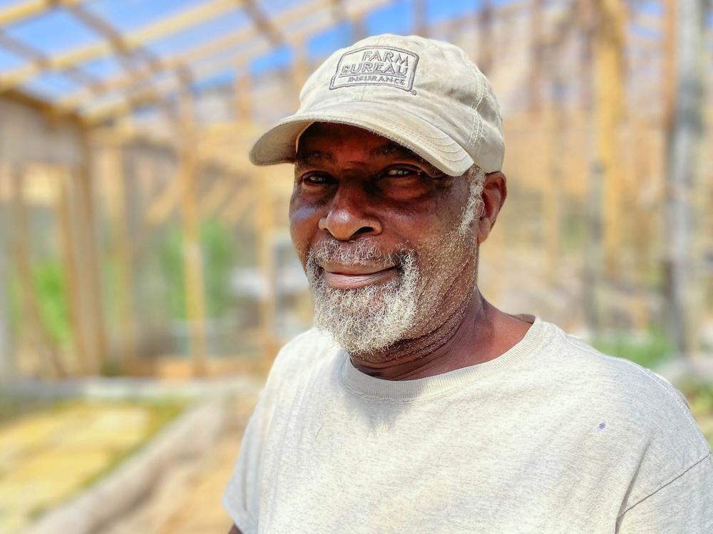 Phillip Barker, in the hydroponic growhouse on Olusanya Farm LLC, which he owns with his wife in Oxford, N.C.