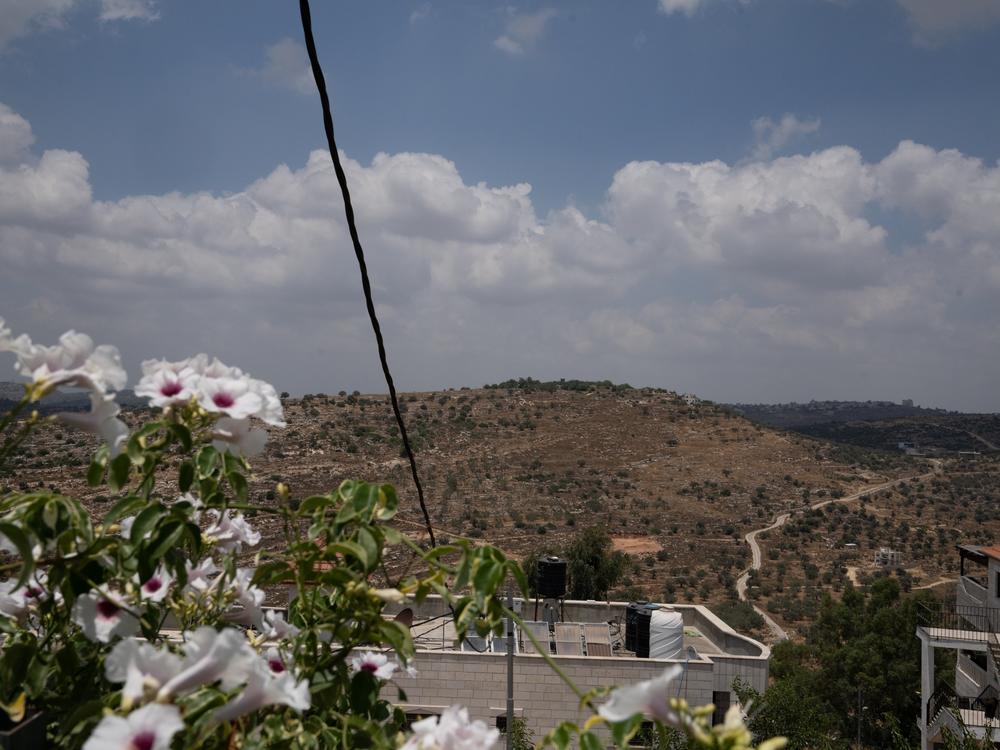 A flowering plant blooms on Shreiteh's deck at his home in the occupied West Bank. Tanks for water can be seen on nearly every roof in the Palestinian area. 