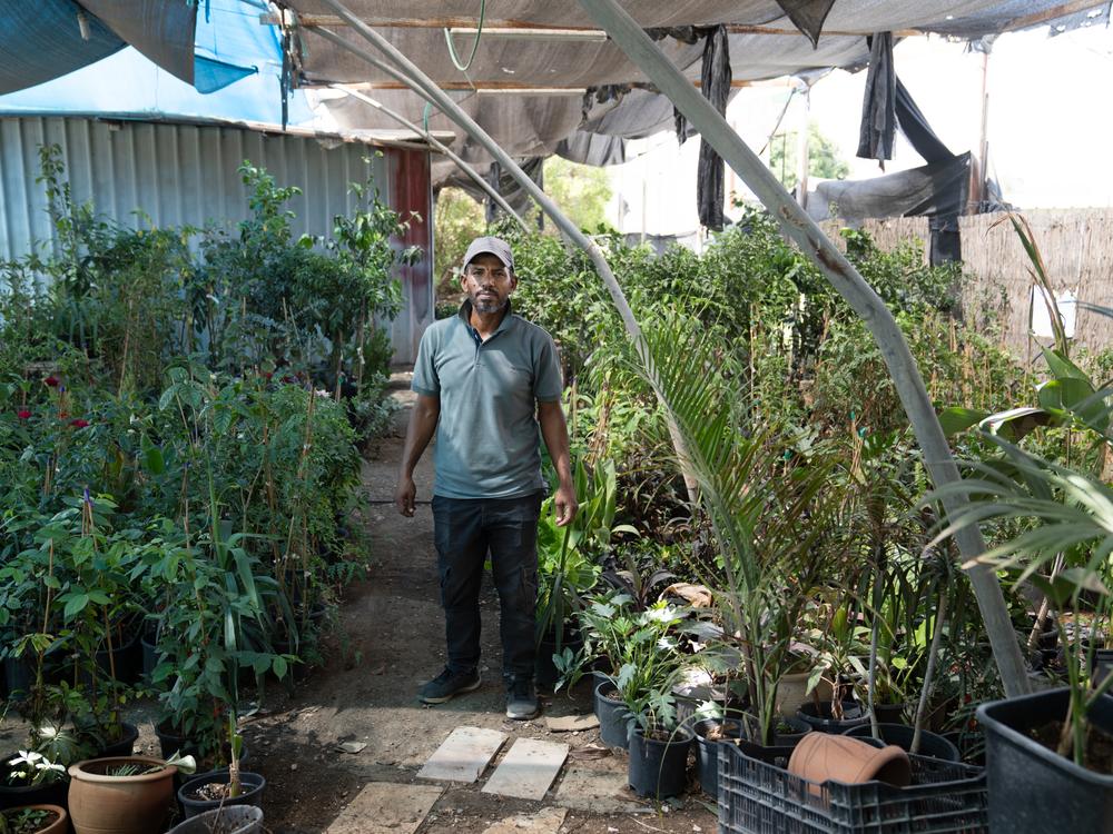 Rama Ramanim, 40, struggles with water for his farm in Al-Auja, where he grows bananas and has a few papaya trees. Before the war, he relied on the Al-Auja spring. Now his access is blocked by Israeli settlers and the Israeli military. He has to buy water from a local water delivery company and says he is making no profit this year since all his money goes toward water for his crops to survive.