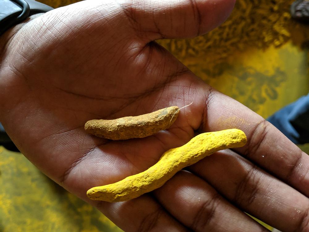 In Bangladesh, turmeric — sold as the root or in a powder form — is a popular spice. In the 1980s, some farmers began adding a dye to make the root more attractive to buyers. But there was a problem with the dye.
