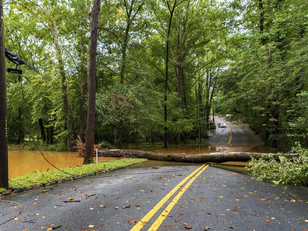 A downed tree is seen along Margret Mitchell Drive in the Buckhead area of Atlanta on Friday.