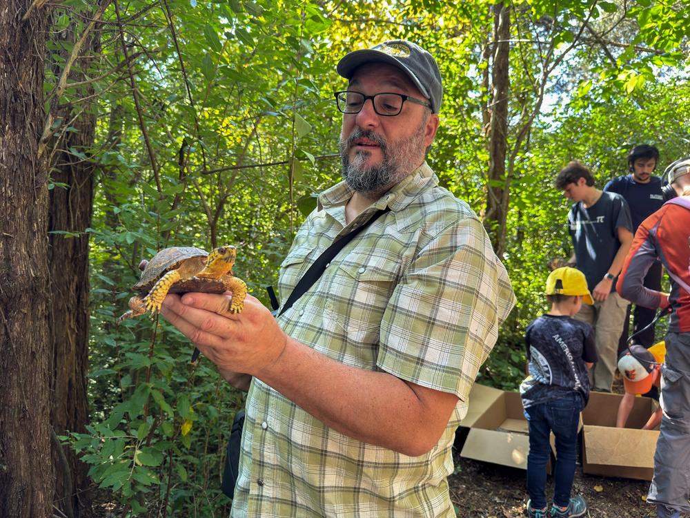  Maurice Rodrigues holds one of the turtles about to be set free.