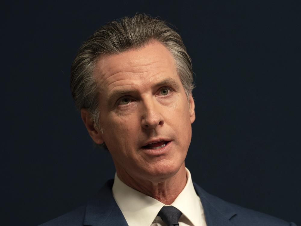 FILE -- California Gov. Gavin Newsom vetoed SB1046, a hotly contested measure that would have been the nation's strictest AI safety law. (AP Photo/Rich Pedroncelli, File)