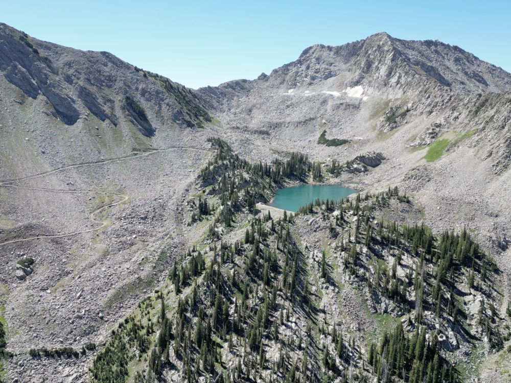 Just up the hill from White Pine Lake is a wall of loose rock that is hiding glacier ice.