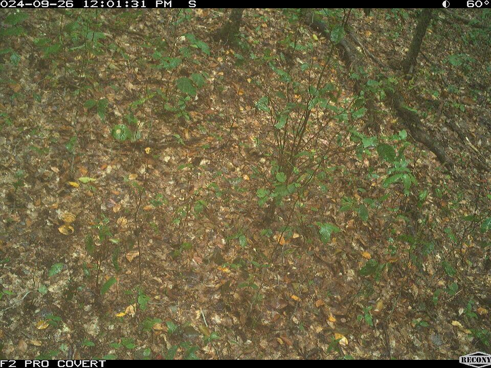The live webcam didn't exactly give much away.
