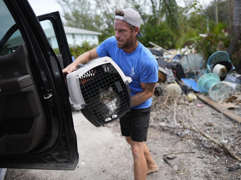 Ted Carlson puts McKenzie, his best friend Evan Purcell's cat, into a pickup in Holmes Beach on Anna Maria Island, Fla., ahead of the arrival of Hurricane Milton. Debris from Hurricane Helene still sits alongside the driveway.