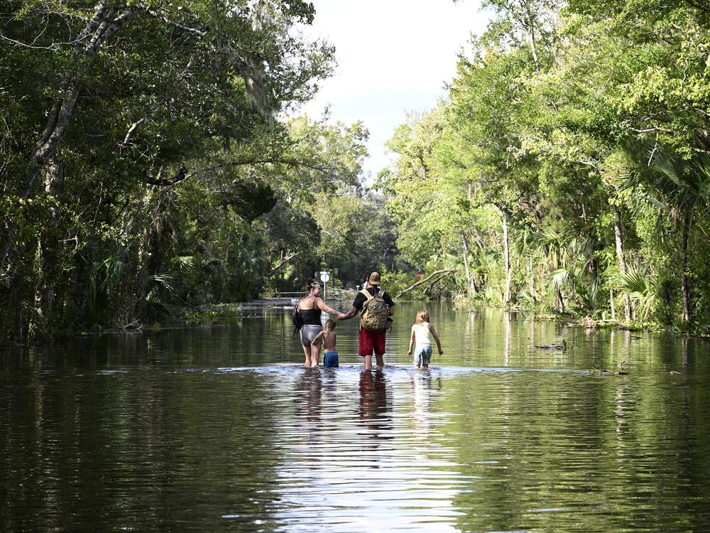 Dustin Holmes, second from right, holds hands with his girlfriend, Hailey Morgan, while returning to their flooded home with her children Aria Skye Hall, 7, right, and Kyle Ross, 4, in the aftermath of Hurricane Helene, Friday, Sept. 27, 2024, in Crystal River, Fla.