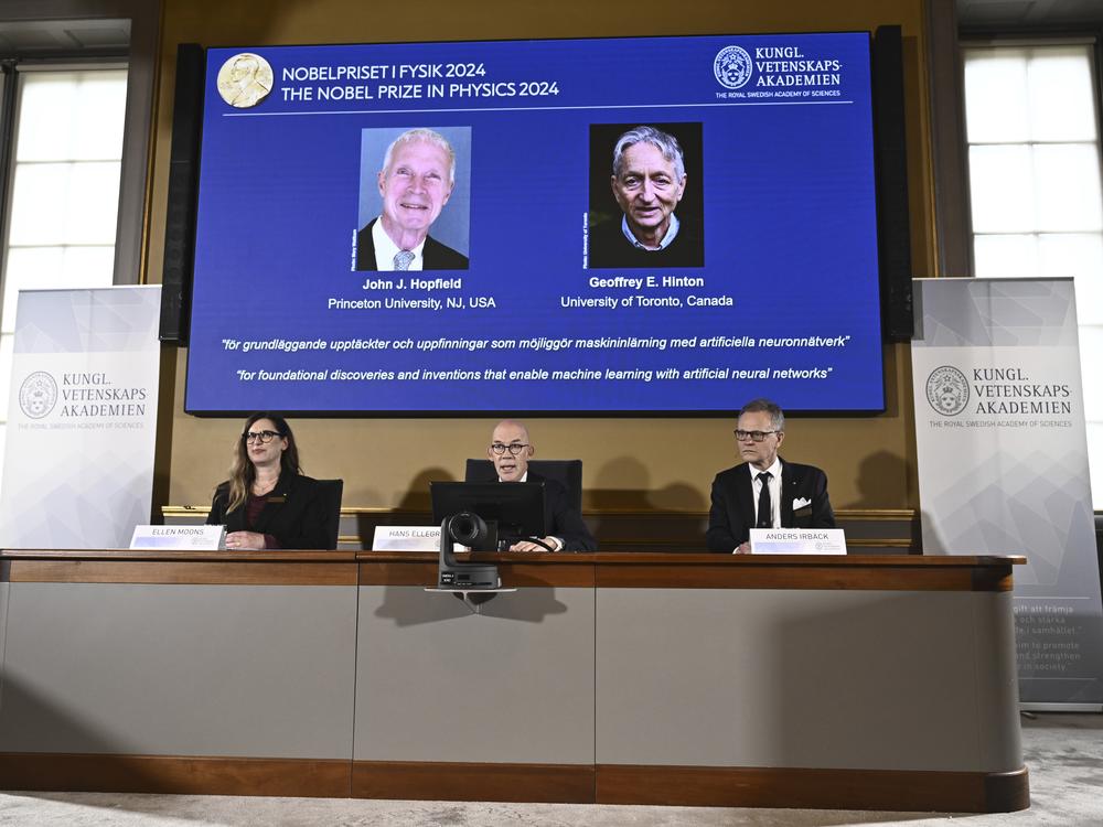 John Hopfield and Geoffrey Hinton, seen in picture, are awarded this year's Nobel Prize in Physics, which is announced at a press conference by Hans Ellergren, center, permanent secretary at the Swedish Academy of Sciences in Stockholm on Tuesday.