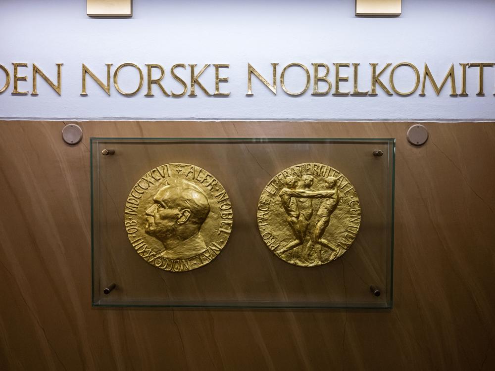 A photo taken on Sept. 25, 2024 in Oslo, Norway shows replicas of both sides of the Nobel Peace Prize medal displayed at The Norwegian Nobel Institute.