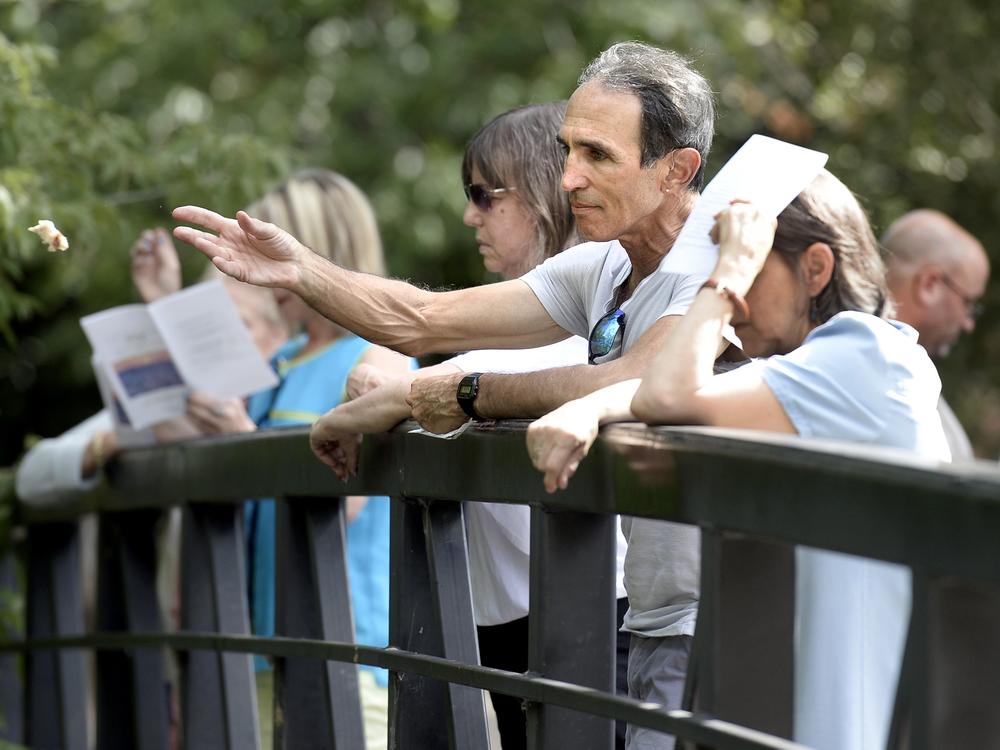 A man throws bread into a creek in Boulder, Colorado as part of a tashlich ceremony, which involves symbolically casting away sins.