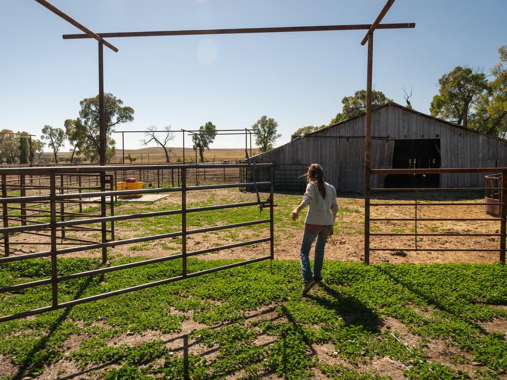 Hilary Zaranek believes that Wildlife Services has done Montana ranchers a disservice by 
