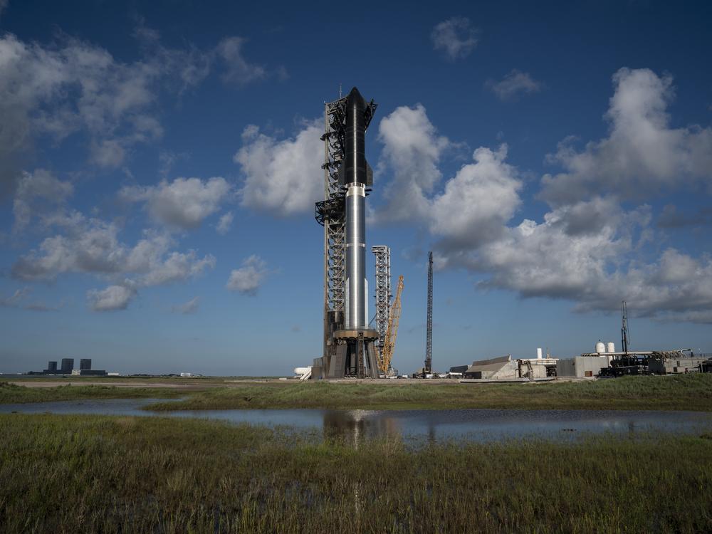 Starship is the largest rocket ever built. Elon Musk hopes it will one day fly humans and other species to Mars, but environmentalists say it's doing damage to the local habitat around the Texas launch site.