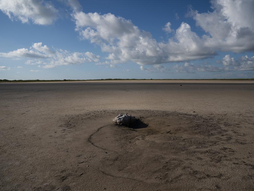 A piece of concrete and rebar that remains from SpaceX's first test of Starship in 2023. The launch destroyed the pad, sending debris into the landscape.