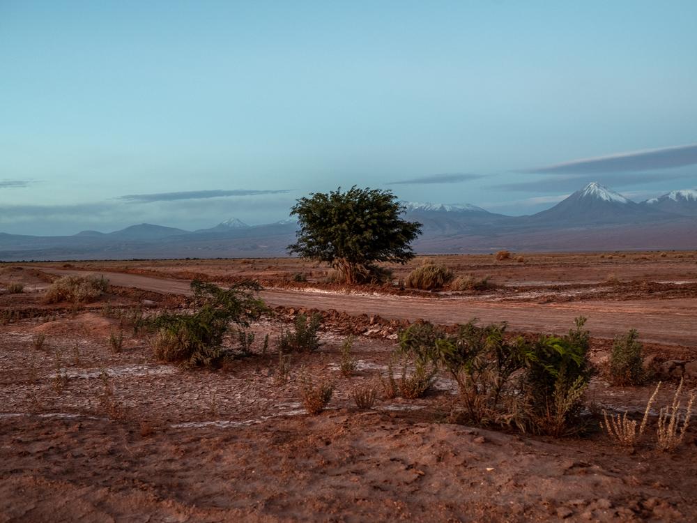The Atacama Desert in Antofagasta, Chile.