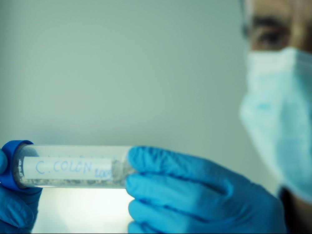 Forensic medical expert José Antonio Lorente examines DNA evidence in an image from the documentary <em>Colón ADN, su verdadero origen.</em>