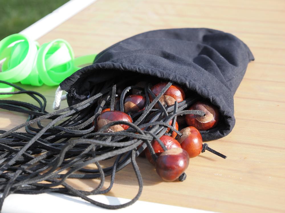 In a game of conkers, two players take turns hitting each other's conker — the seed of a horse chestnut tree — until one of them breaks.