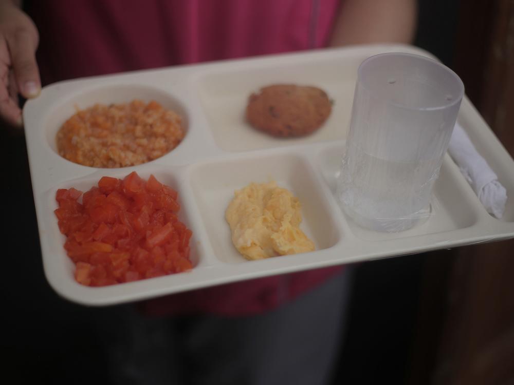 Here's a meal that Tomás got at the government-subsidized day care he attends — a way for the family to reduce food expenses and make sure he has a healthy diet. The tray includes rice, egg, papaya and a protein.