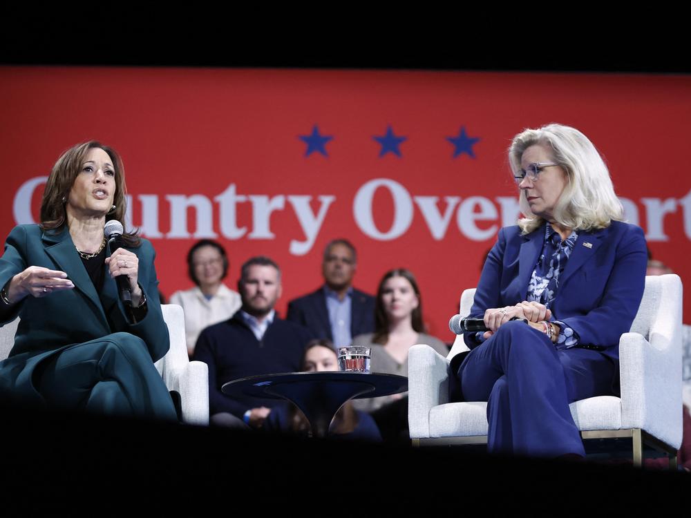 Vice President Harris speaks during a moderated conversation with former Rep. Liz Cheney in Brookfield, Wis., on Monday. They spoke in front of a banner reading 