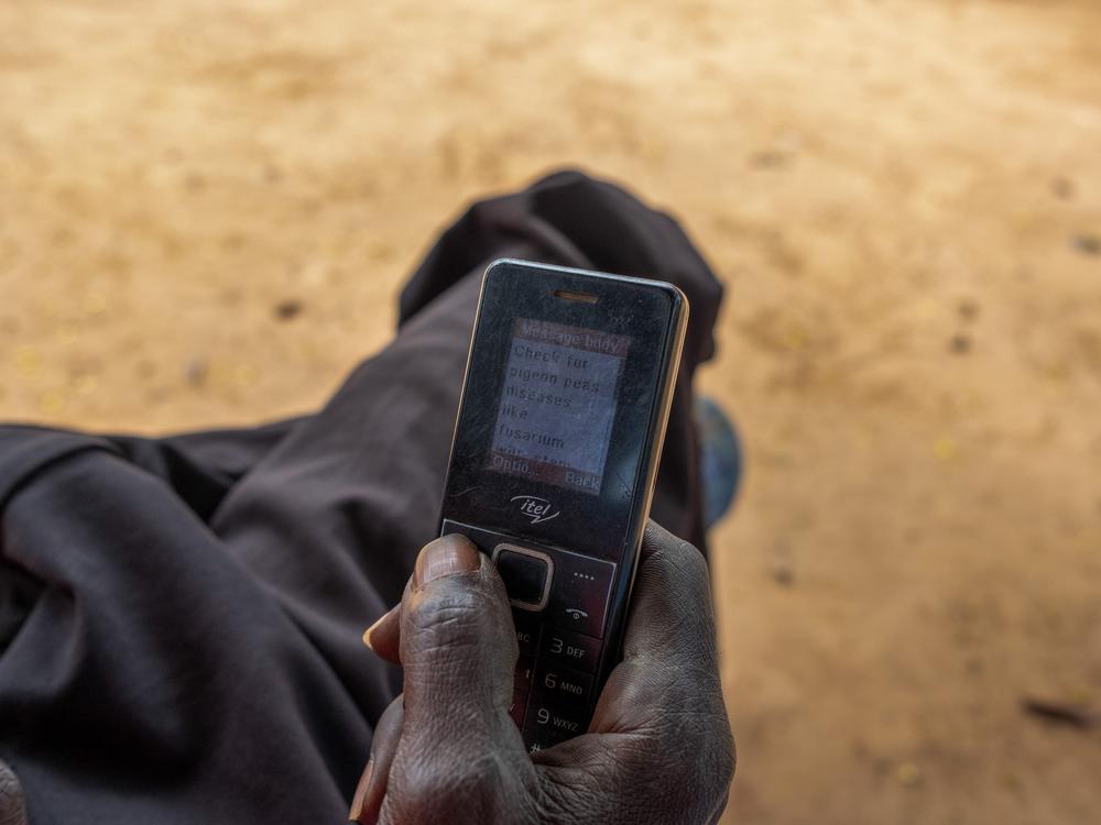 Stephen Nzioka checks his phone for the short-term weather forecast.