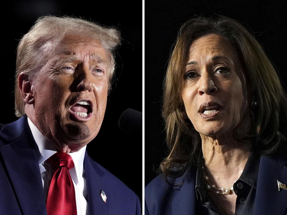 This combination of file photos shows former President Donald Trump, left, speaking at a campaign rally, Oct. 18, in Detroit, and Vice President Harris, speaking at a campaign rally in Green Bay, Wisconsin on Oct. 17.