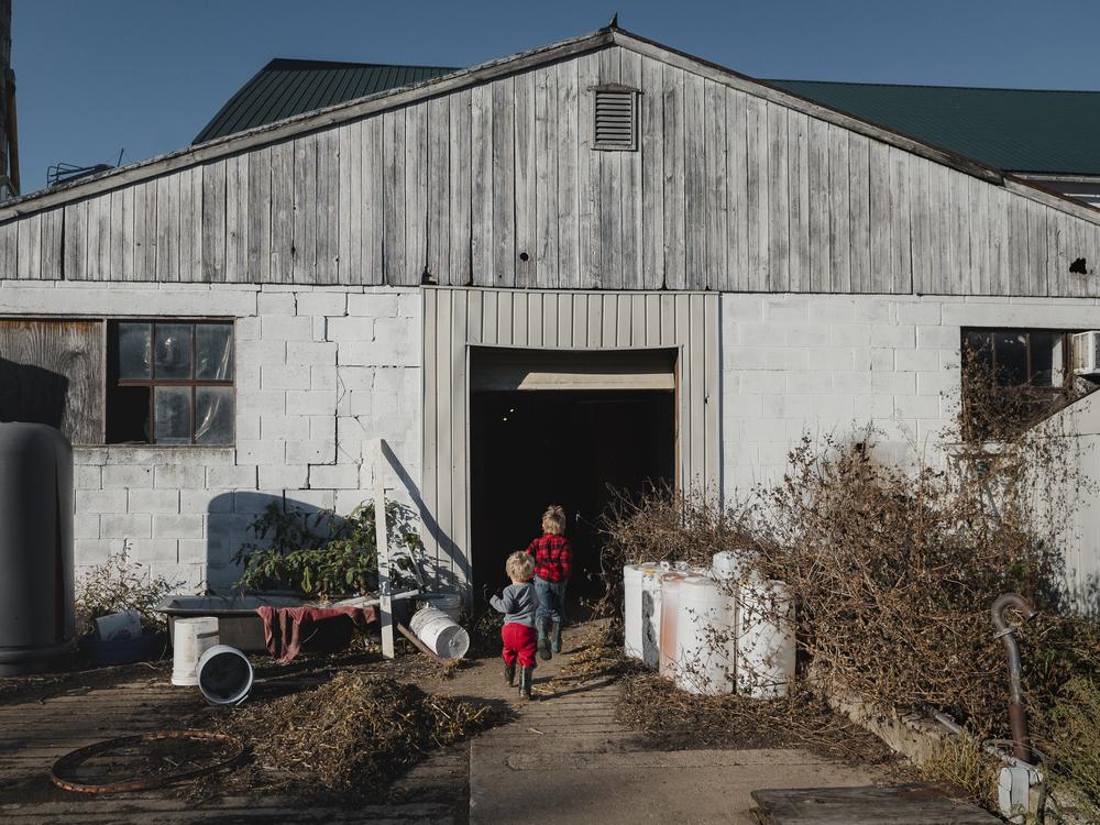Two of the Mellinger grandsons at their farm in Ronks, PA, on Friday, October 18, 2024.