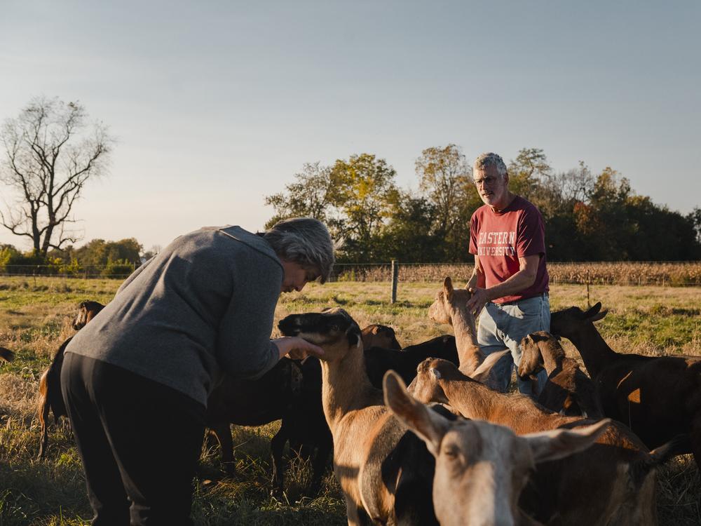 Mary Mellinger, 61, left, and her husband, Andrew Mellinger, 63, pet their goats on their farm in Ronks, PA, on Friday, October 18, 2024.