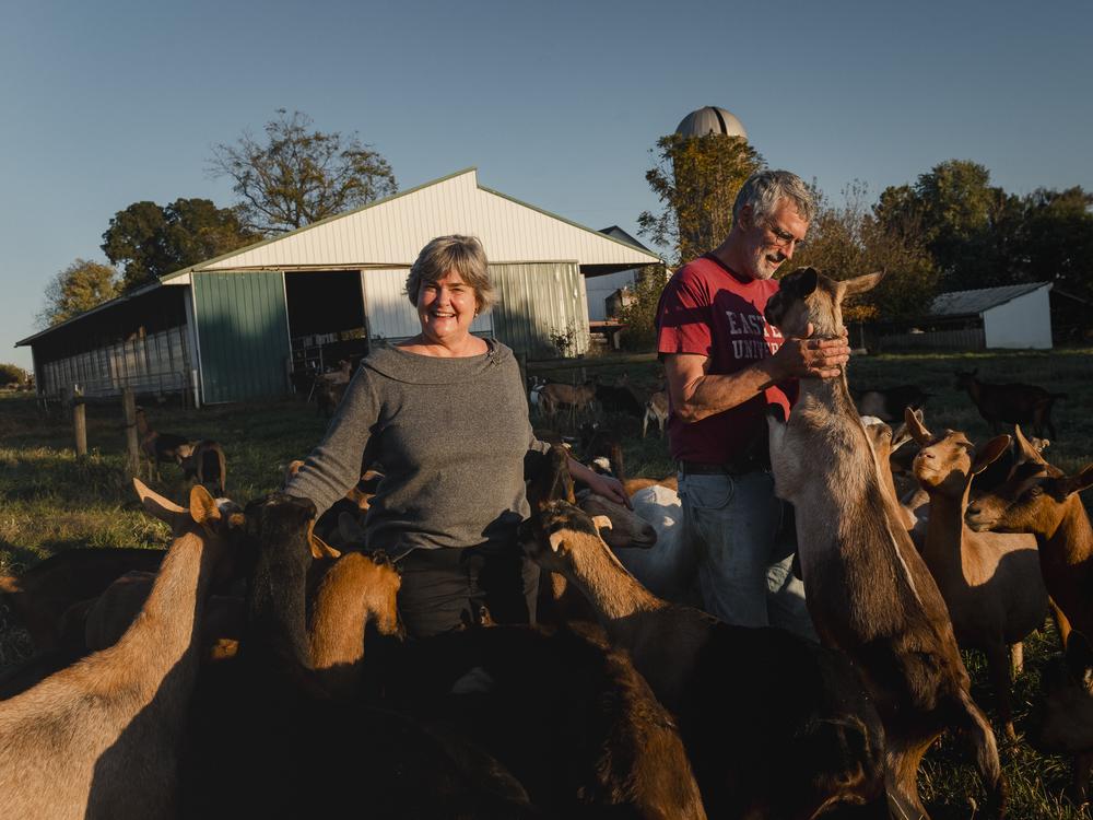 Mary Mellinger, 61, left, and her husband, Andrew Mellinger, 63, stand together for a portrait with their goats on their farm in Ronks, PA, on Friday October 18 2024.