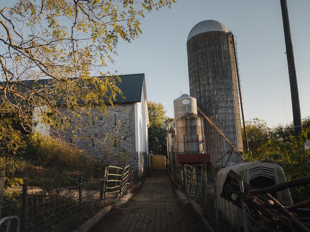 The Linden Dale Farm in Ronks, PA, on Friday, October 18, 2024.