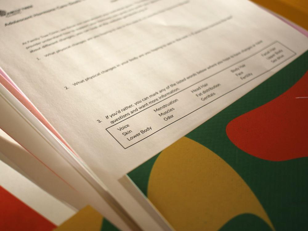 Family Tree Clinic shares their handouts with trainees in the Midwest Trans Health Education Network. This form seeks to understand a patient’s goals in seeking gender affirming care