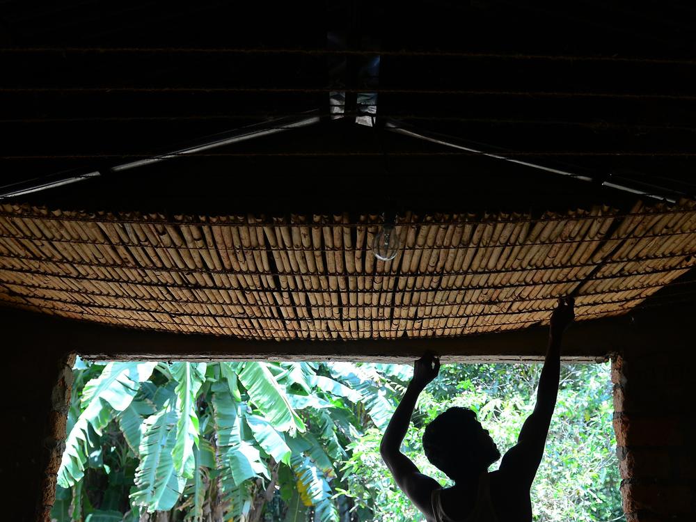 Cinnamon sticks from Sri Lanka were processed in Ecuador — where officials say lead chromate was added before the adulterated spice was packaged into applesauce pouches bound for the U.S. market. In this file photo, a Sri Lankan worker dries cinnamon quills at a peeling center in the Hikkaduwa region.