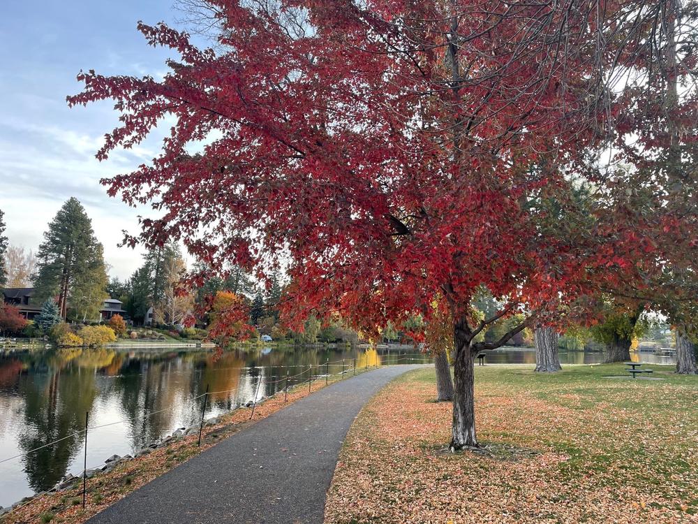 Autumn leaves in Bend, Ore.