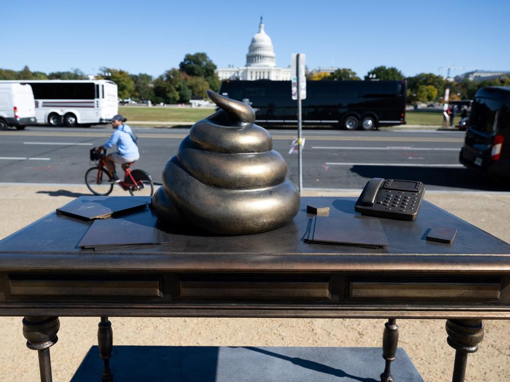 A bronze art installation depicting a pile of feces on former House Speaker Nancy Pelosi's desk appeared on the National Mall near the U.S. Capitol on Thursday, surprising and amusing passersby.