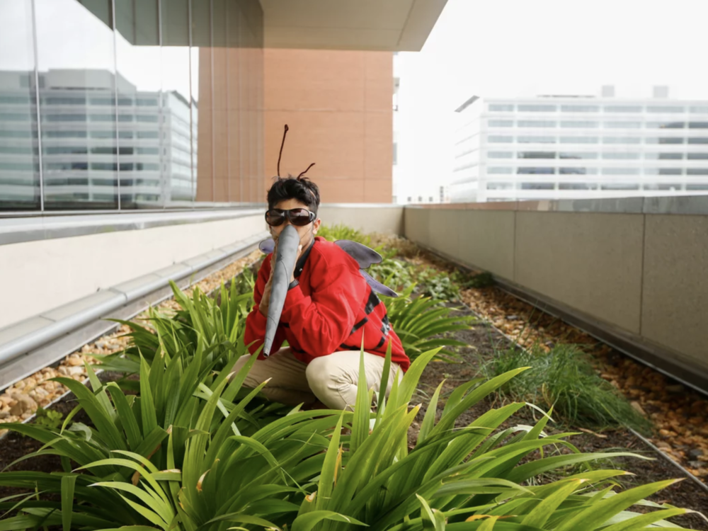 This former NPR intern shows off our DIY mosquito costume.
