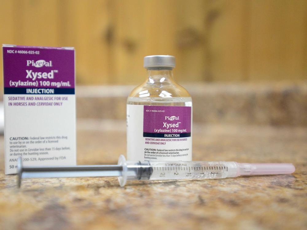 The powerful animal tranquilizer xylazine - toxic in humans - is harming a fast-growing number of pregnant women in the U.S. who use street drugs. The dangers to women, their fetuses and newborns are largely unknown, according to doctors and researchers.