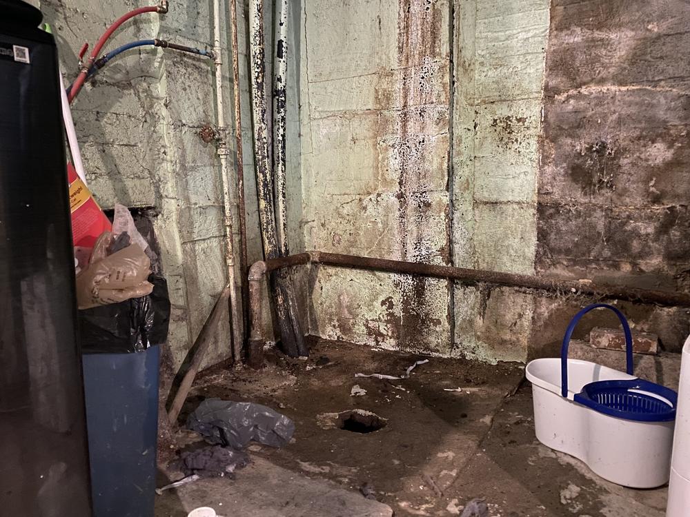 In a corner of the Cox's basement, sewage seeps in from an open shower drain because the original terracotta piping broke.