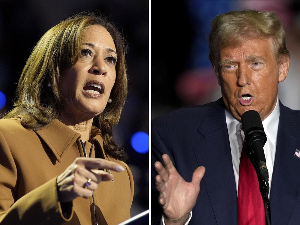 This combination of file photos shows Vice President Harris speaking during a campaign rally in Kalamazoo, Mich., on Oct. 26, and former President Donald Trump during a rally Oct. 22 in Greensboro, N.C.