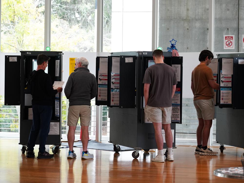 Voters cast their ballots on the last day of early voting for the 2024 election on Friday in Atlanta.