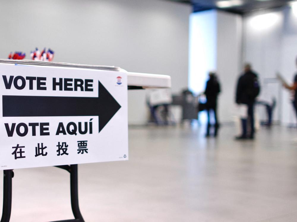 People wait in line to cast their votes during in New York on October 26, 2024. Online, social media users are floating unverified and false claims about voting that can quickly go viral.