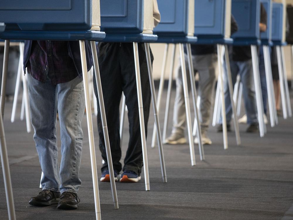 Voters in Dearborn cast ballots Tuesday, during Michigan's early voting period. Elon Musk recently surfaced a baseless claim about the state's voter rolls.