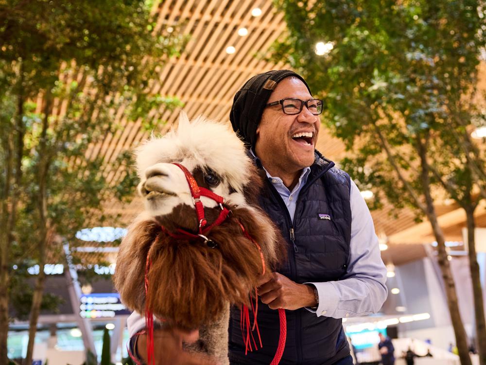 Captain Jack the Alpaca has a job to do: making travelers happy. Clearly, he gets it done.