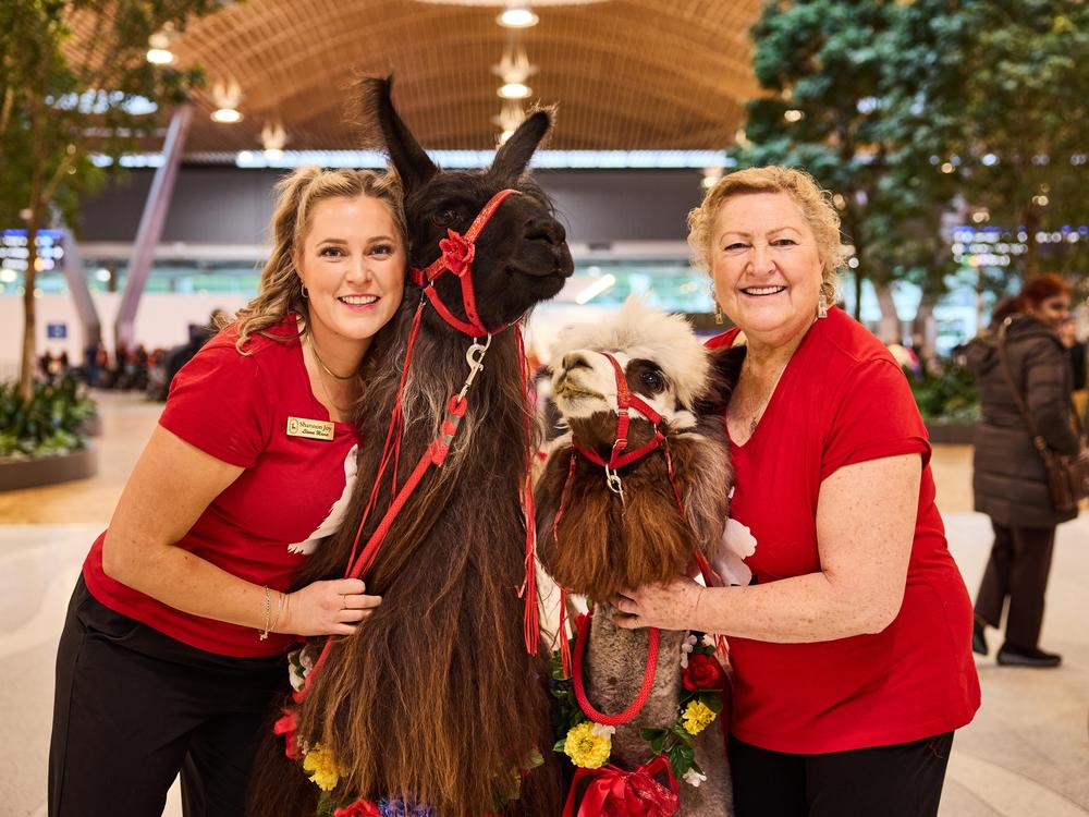 Shannon Joy (left) and her mother Lori Gregory from Mountain Peaks Therapy Llamas & Alpacas, pose for portraits with Beni and Captain Jack at Portland International Airport on October 31, 2024.