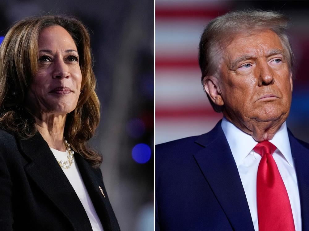 Left: Democratic presidential nominee Vice President Harris speaks during a campaign rally in Charlotte, N.C., on Sept. 12. Right: Republican presidential nominee former President Donald Trump listens during a campaign rally on Monday in Reading, Pa.