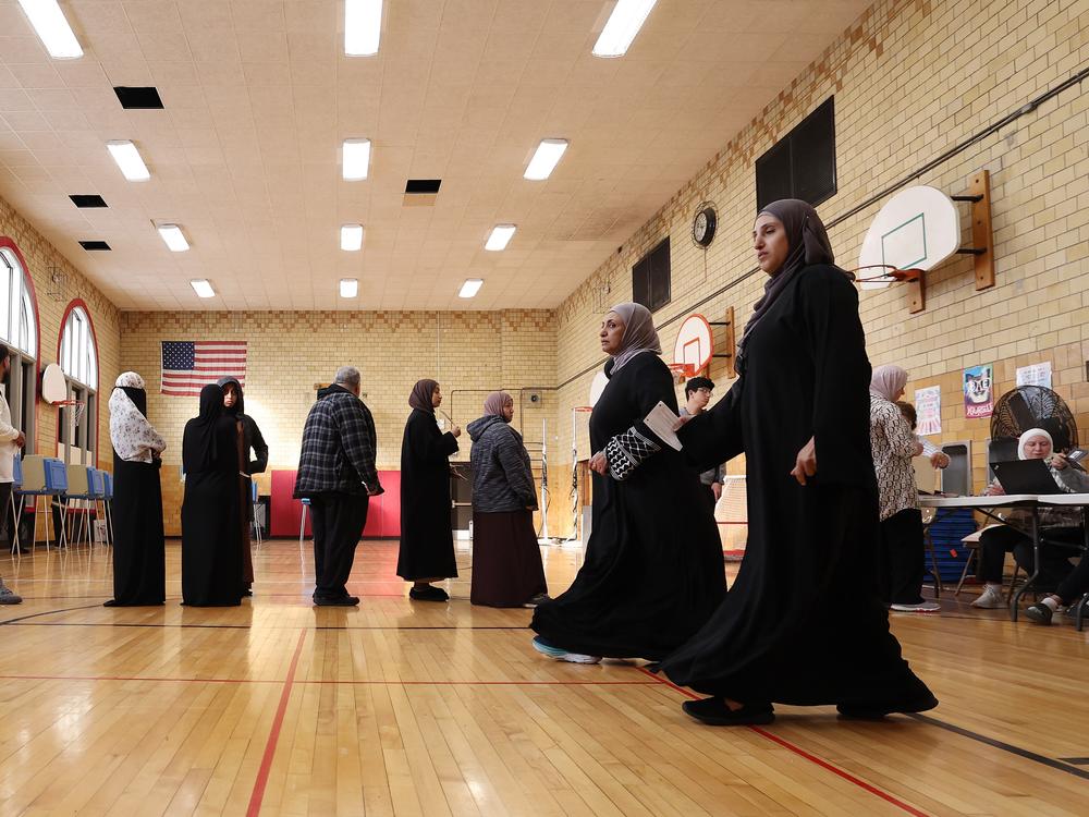Voters wait in line to vote at the Lowrey School on Tuesday in Dearborn, Mich.