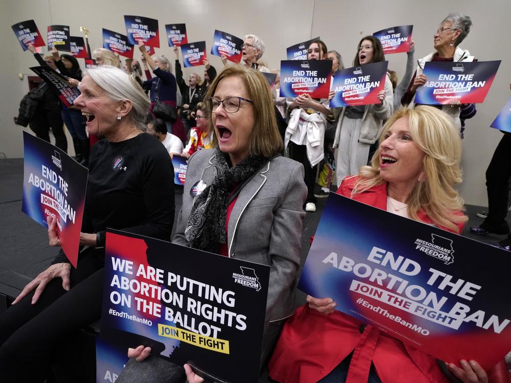 Missouri residents and pro-choice advocates react to a speaker during Missourians for Constitutionals Freedom kick-off petition drive in February.