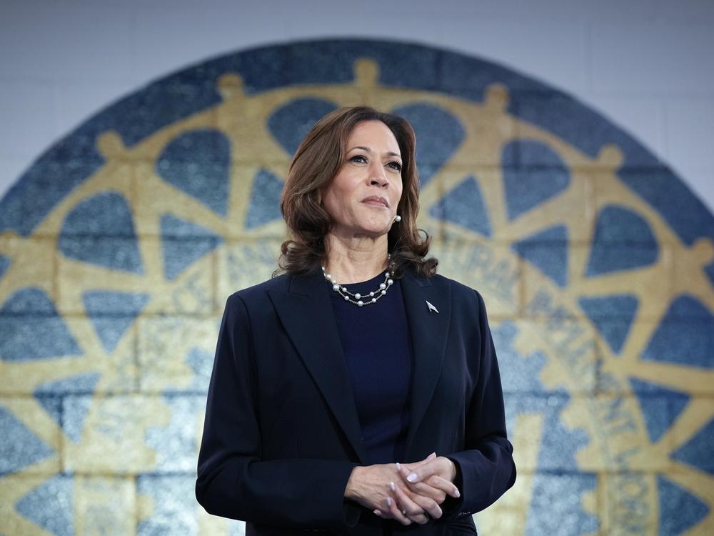 Democratic presidential candidate U.S. Vice President Kamala Harris waits to speak at a campaign rally on August 8, 2024 in Wayne, Michigan.
