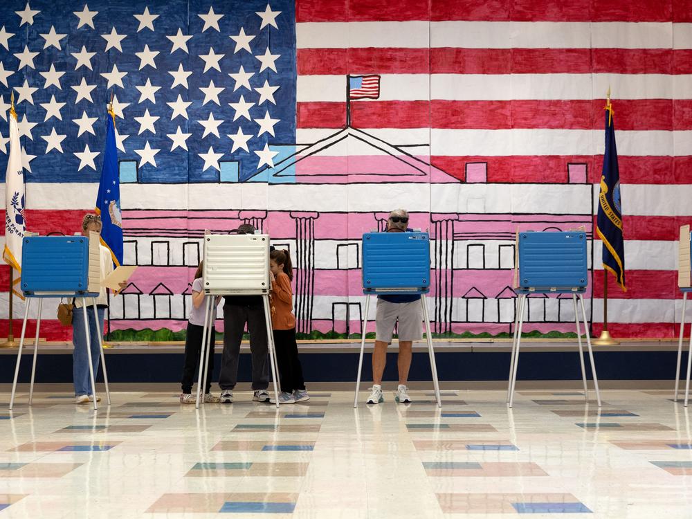Voters cast their ballots at Robious Elementary School in Chesterfield County, Va.