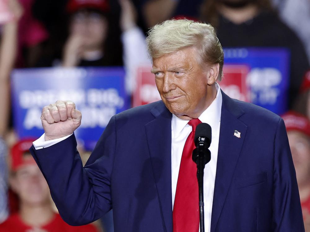 Former President Trump gestures as he speaks during a campaign rally at Van Andel Arena in Grand Rapids, Mich., on Nov. 5, 2024. Investors are embracing the so-called 