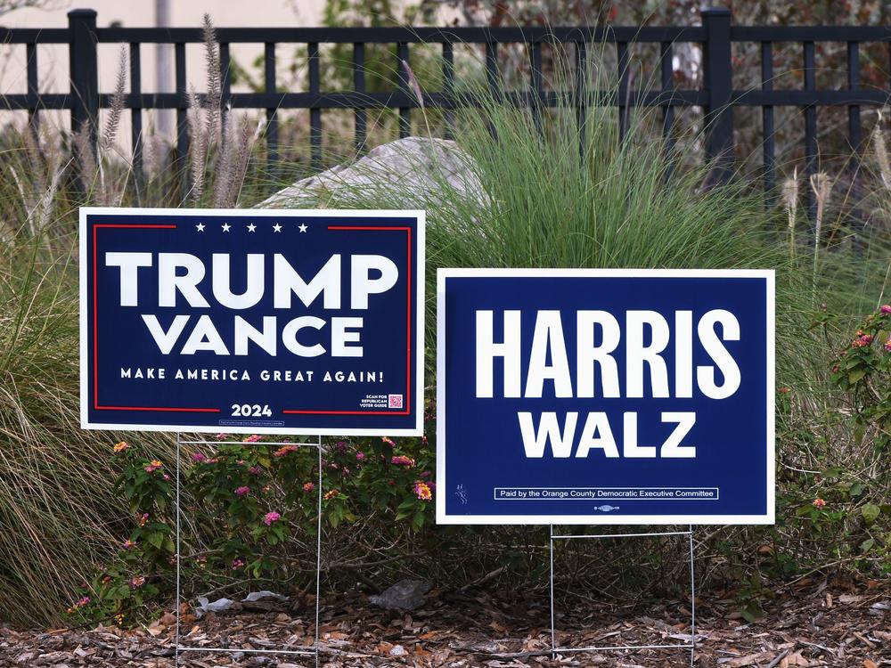 Campaign signs are seen near a polling station on November 5, 2024 in Orlando, Florida.