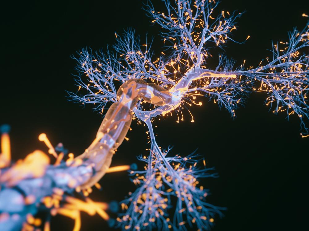 Scientists have found one type of neuron is affected early in Alzheimer's.