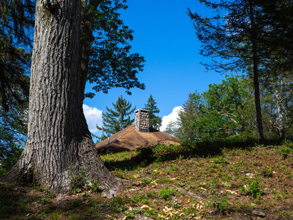 An iconic Carpathian-style roof and stone chimney peek out of the woods in the heart of Soyuzivka’s campus.